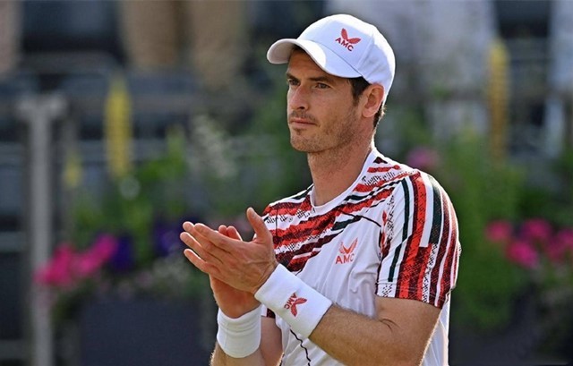 在篮球场上 在篮球场上