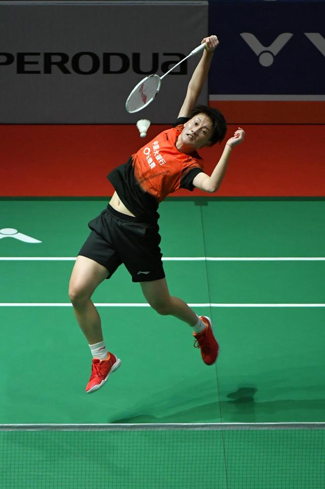 他精心研究 他精心研究